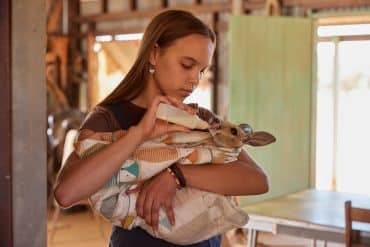 lilly-und-die-kaengurus