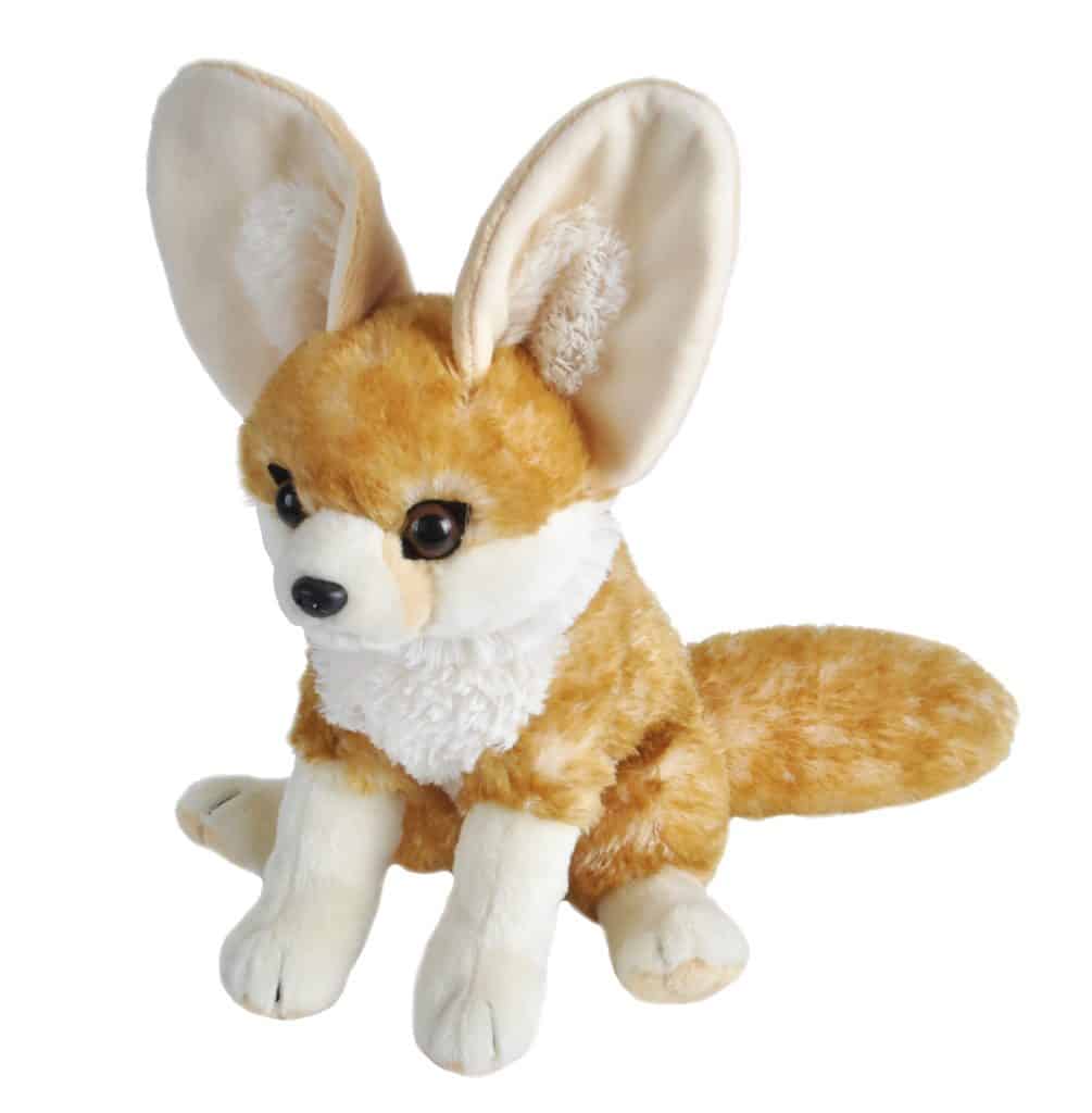 Wüstenfuchs